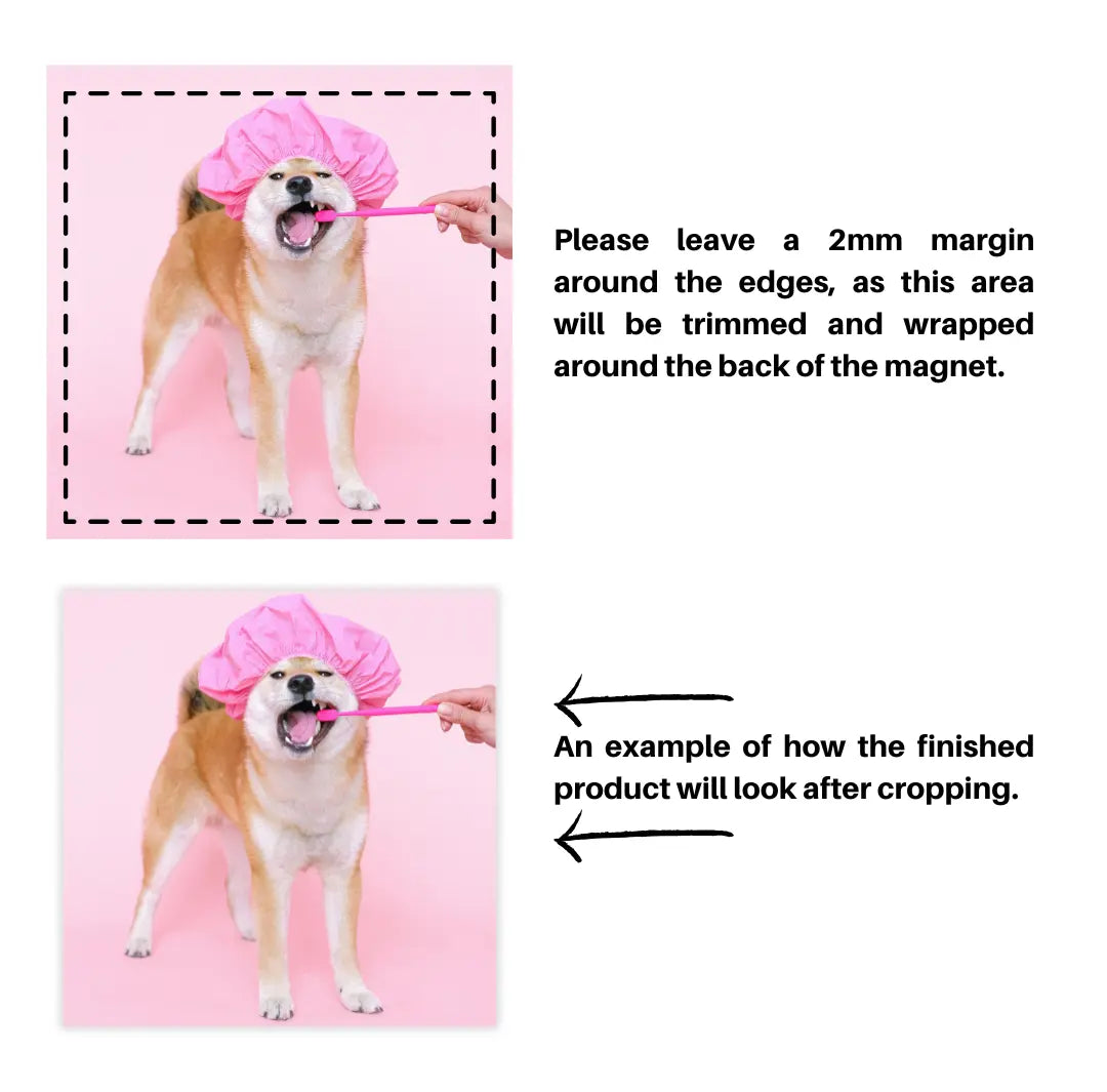 Custom Photo Magnets – Personalized & Vibrant (Sets of 3, 6, 9, 12, 18, or 27) LA Magnets
